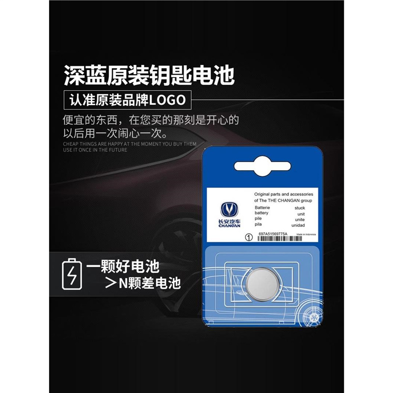 Smart Key Remote Battery CR2032 for DEEPAL SL03 / S07 / S05 / L07 - Image 2
