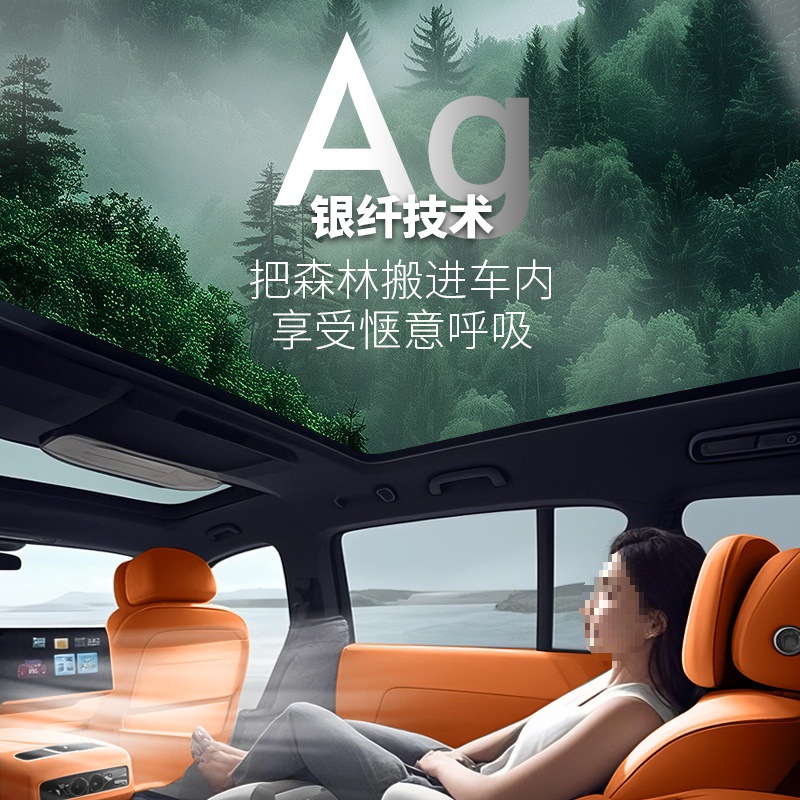 Antimicrobial Silver Ion N95 Cabin Air Filter for DEEPAL SL03 / S07 / L07 / S05 - Image 2