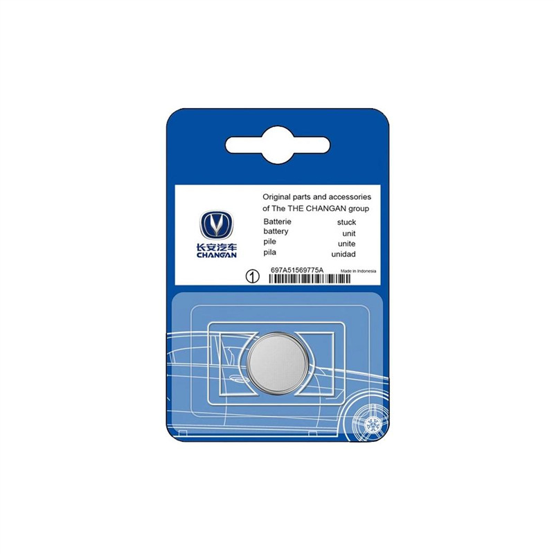 Smart Key Remote Battery CR2032 for DEEPAL SL03 / S07 / S05 / L07 - Image 5