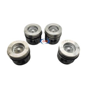 Engine Piston and Ring Assembly with D20T Engine Support for KAICENE F70 Pickup