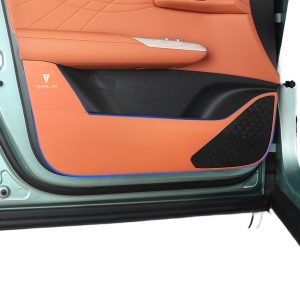 Interior Anti-Kick Protective Mat Set for DEEPAL S07 - Carbon Fiber Texture 10-Piece Kit
