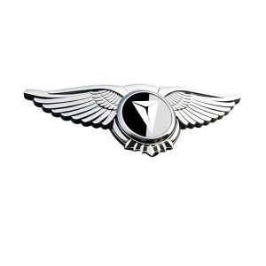 Front Hood Wing Emblem Logo Sticker for DEEPAL S07 S05 SL03 L07 G318