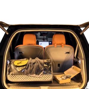 Interior Trunk and Ambient Light for DEEPAL S7, SL03, S05, L07 - White LED Lighting