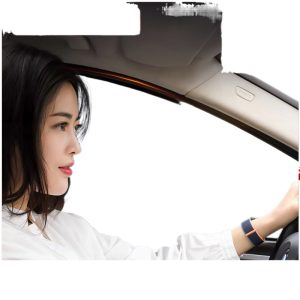 Custom Magnetic Car Window Mesh Sunshade for DEEPAL S07 S05 L07 SL03 G318