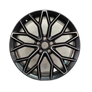 20-Inch Alloy Wheel Rim Grey Machined Face 10-Spoke for CHANGAN UNI-T