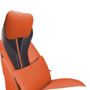 Car Seat Headrest and Lumbar Support Pillow for CHANGAN CS75 PLUS and DEEPAL S07/G318/SL03