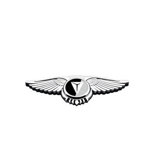 Eagle Wing Hood Emblem Sticker for DEEPAL S07 S05 SL03 L07 S09 & DEEPAL G318