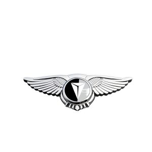 Eagle Wing Hood Emblem Sticker for DEEPAL S07 S05 SL03 L07 S09 & DEEPAL G318