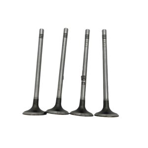 Engine Intake and Exhaust Valves Kit for KAICENE F70 Hunter Pickup D20T Engine