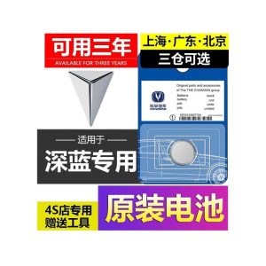 Smart Key Remote Battery CR2032 for DEEPAL SL03 / S07 / S05 / L07