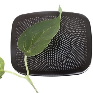 Front Roof Speaker Cover Trim Stainless Steel for DEEPAL G318 2024+