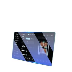 Tempered Glass Passenger Display Screen Protector for DEEPAL S07 (Blue Light Filter)