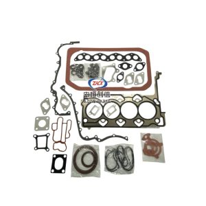 Engine Overhaul Gasket and Oil Seal Repair Kit for KAICENE F70 Hunter D20T