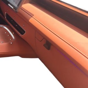 Passenger Glove Box Storage Hooks Pair for DEEPAL S07 / S7