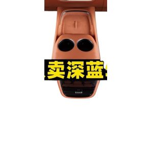 Dual-Layer TPE All-Weather Floor Mats with Silk Ring Carpet for DEEPAL S07 / S7 (2024 Model)